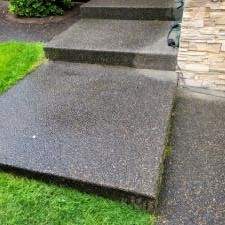 Pressure Washing 2