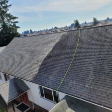 Roof Treatment 1