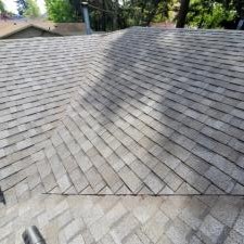 Roof Treatment 6