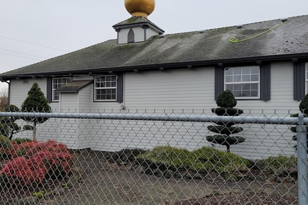 Asphalt shingles with heavy moss growth in portland or