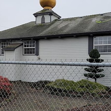 How Does Moss Growth Affect the Lifespan of Your Asphalt Shingles?